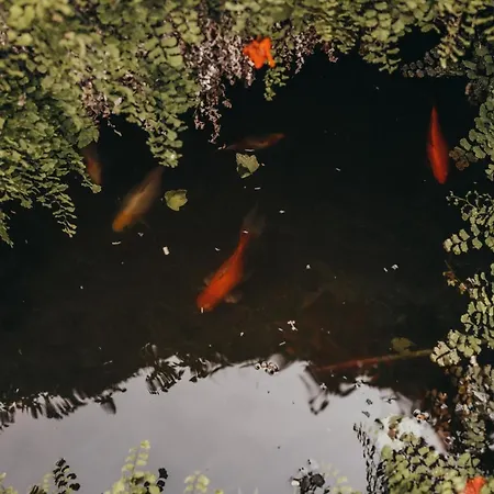 Vila Tumbine Cascais